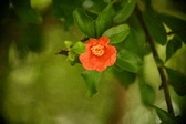 Enlarge photo 674