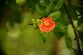 Enlarge photo 675