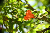 Enlarge photo 677