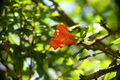Enlarge photo 678