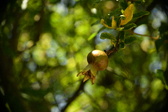 Enlarge photo 683