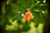 Enlarge photo 687