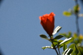 Enlarge photo 688