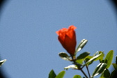 Enlarge photo 689
