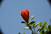 Enlarge photo 690