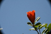 Enlarge photo 692