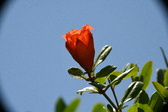 Enlarge photo 693