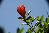 Enlarge photo 694