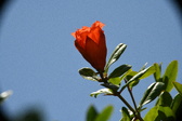 Enlarge photo 695