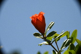 Enlarge photo 696
