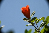 Enlarge photo 697