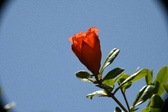 Enlarge photo 698