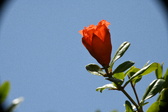 Enlarge photo 699