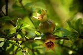 Enlarge photo 701