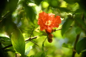 Enlarge photo 707