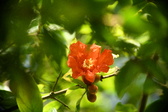 Enlarge photo 708