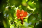 Enlarge photo 709