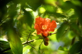 Enlarge photo 711