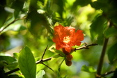 Enlarge photo 712
