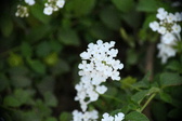 Enlarge photo 738