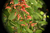 Enlarge photo 742