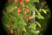 Enlarge photo 743