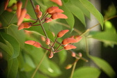 Enlarge photo 512