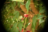 Enlarge photo 764