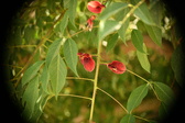 Enlarge photo 770