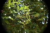 Enlarge photo 771