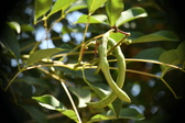 Enlarge photo 772