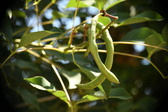 Enlarge photo 773