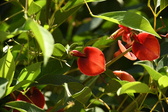 Enlarge photo 783