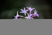 Enlarge photo 800
