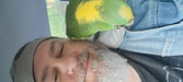 Enlarge photo 41