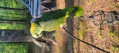 Enlarge photo 27