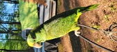 Enlarge photo 25