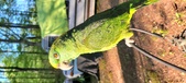 Enlarge photo 23