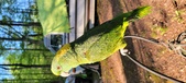 Enlarge photo 21