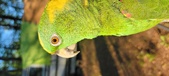 Enlarge photo 18