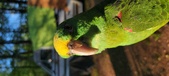 Enlarge photo 16