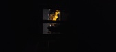 Enlarge photo 244