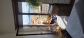 Enlarge photo 259