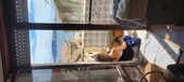 Enlarge photo 260