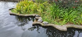 Enlarge photo 284