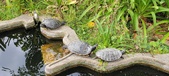Enlarge photo 286