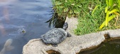 Enlarge photo 313