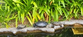 Enlarge photo 314