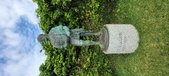 Enlarge photo 316