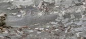 Enlarge photo 318